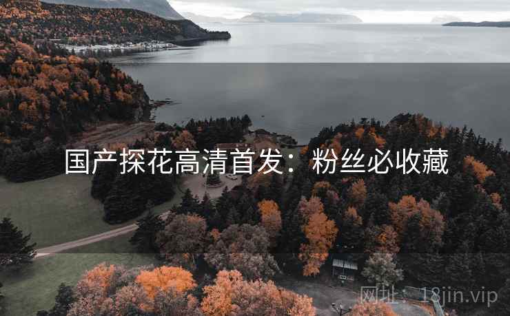 国产探花高清首发：粉丝必收藏