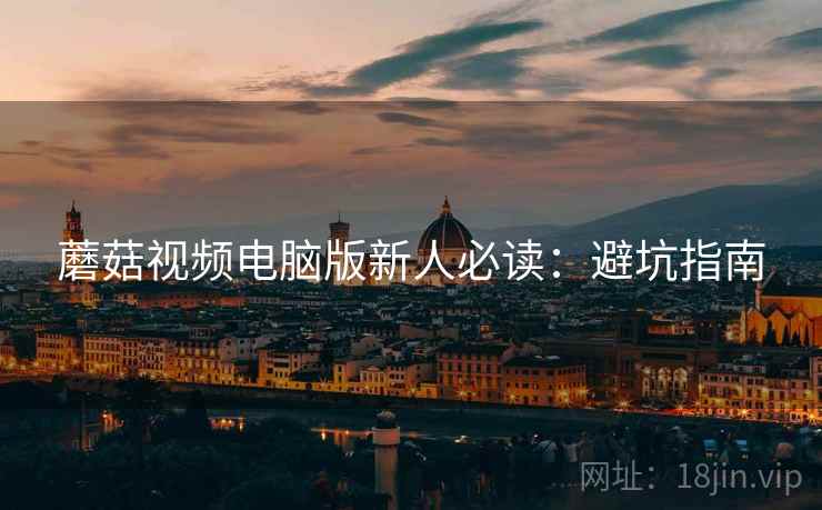 蘑菇视频电脑版新人必读：避坑指南
