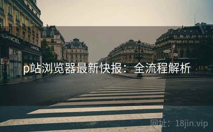 p站浏览器最新快报：全流程解析