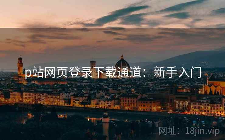 p站网页登录下载通道：新手入门