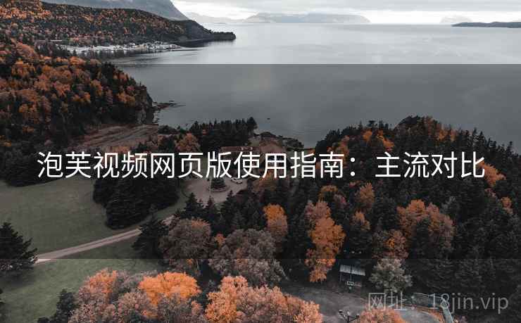 泡芙视频网页版使用指南：主流对比